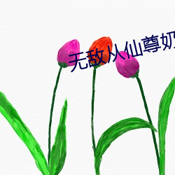 鸿运国际·(中国)会员登录入口
