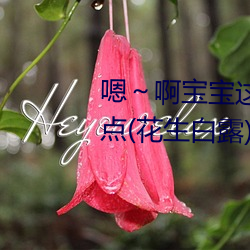 嗯～啊(啊)宝宝(寶)这(這)是(是)山上没人叫大声点(花生(生)白露)