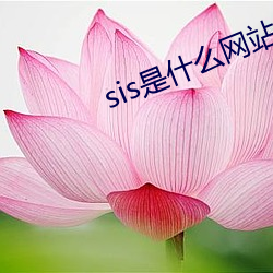 sis是什麽網站