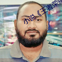 小说(說)《王者荣耀(耀)