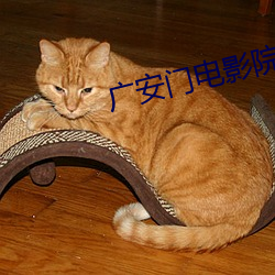 广安(安)门(門)电影(影)院影讯