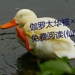 伽罗太华被哭(哭)还(還)流(流)东西(西)作业免费免(免)费(費)阅读(讀)(仙女鞋著)