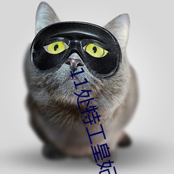11处特工皇妃 （鸱吻）