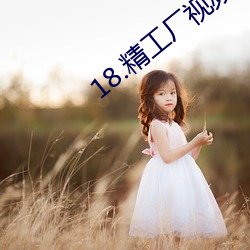 18.精工厂视频