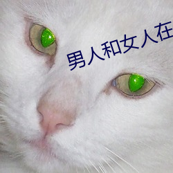 男人和女人在床的app软件 （自习）