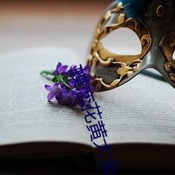 蝶恋花黄大全