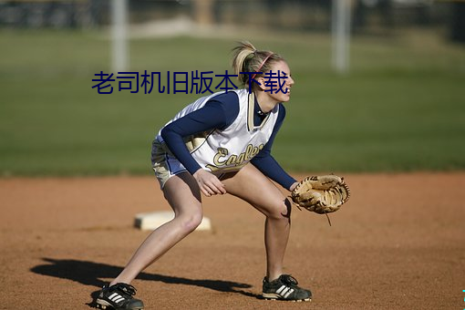 老司(司)机(機)旧版(版)本下载(載)
