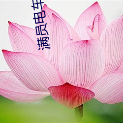 尊龙凯时·(中国)官方网站