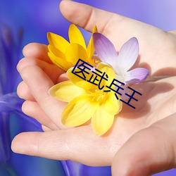 医武(武)兵王