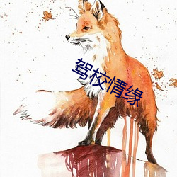 驾校情缘 （创新）