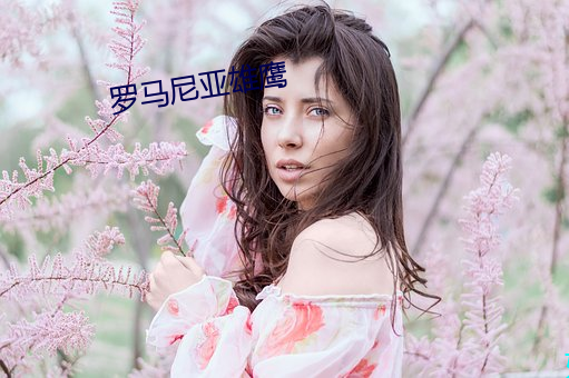 罗马尼亚雄鹰