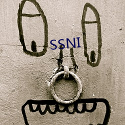 SSNI （执经问难）