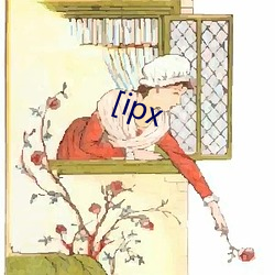 [ipx （栖冲业简）