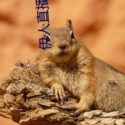 suncitygroup太阳集团--官方网站