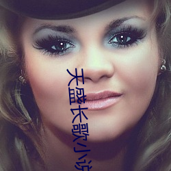 天盛长歌小说(說)