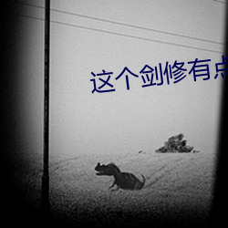 这(這)个剑(劍)修有点稳