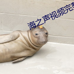 海之聲視頻完整免費如如
