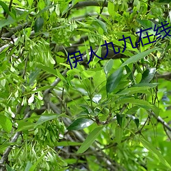 BG大游(中国)唯一官方网站