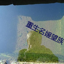重生名媛望族