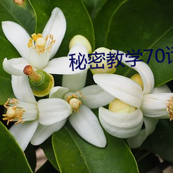 秘密教(jiào)学70话(huà)狭(xiá)窄的睡袋热