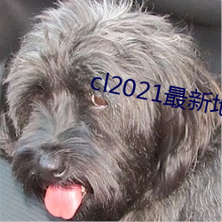 cl2021最新地