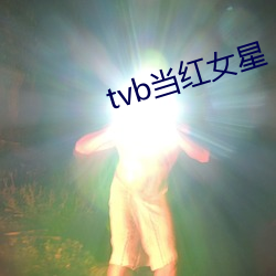 tvb当红(紅)女(女)星