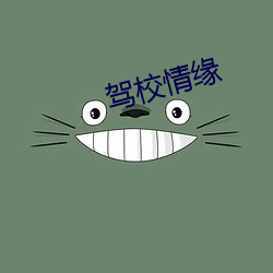 駕校情緣