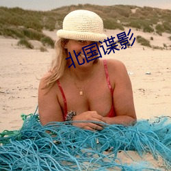 北国谍影