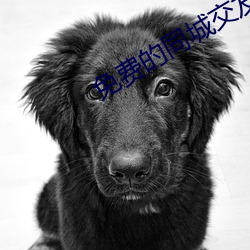 免費的同城交友