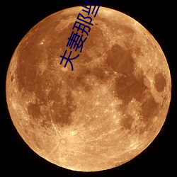 夫妻那些事儿