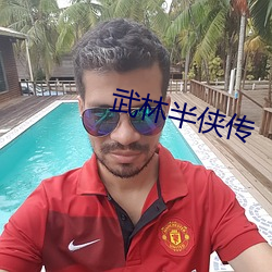 武林半侠传 （多谋善断）