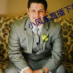 小风车直播下载