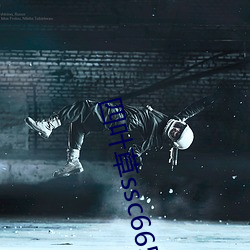 四(四)叶(葉)草(草)ssc66555