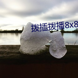 拨插(chā)拨播8x8x海外