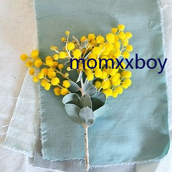 momxxboy