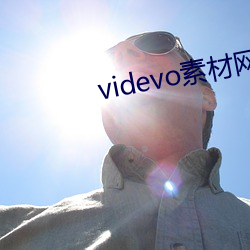 videvo素材網站