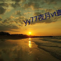 yy77夜月vt直播