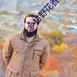 乡村野花香赵二炮