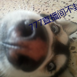 777直播間不封號