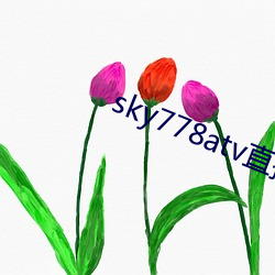 sky778atv直播下载