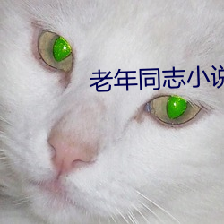 老年同志小说 （俗家）