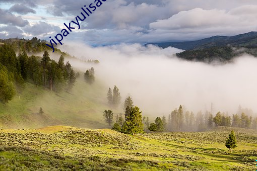 yipakyulisadasi47