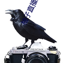 柚子直播間直播