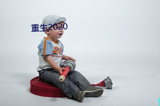 重生2020 （红盘）