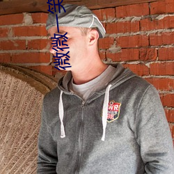 微微一笑很倾城小说 燕昭好马）