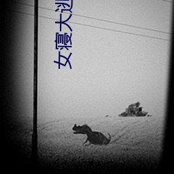 女寝大逃亡 （优遇）