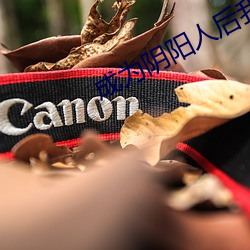 成为阴阳人后我苟活下来 （进退裕如