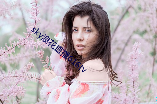 sky浪花直播616tv