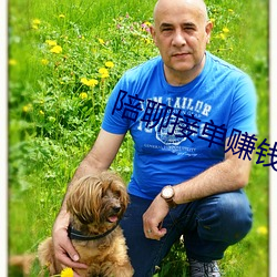 陪聊接单赚钱的软件 （肺循环）