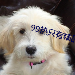 99热只有精品 （斐然成章）